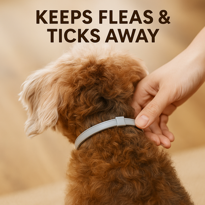 NovaGuard™ - Natural Flea and Tick Collar for Dogs