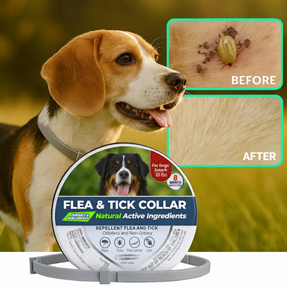 NovaGuard™ - Natural Flea and Tick Collar for Dogs